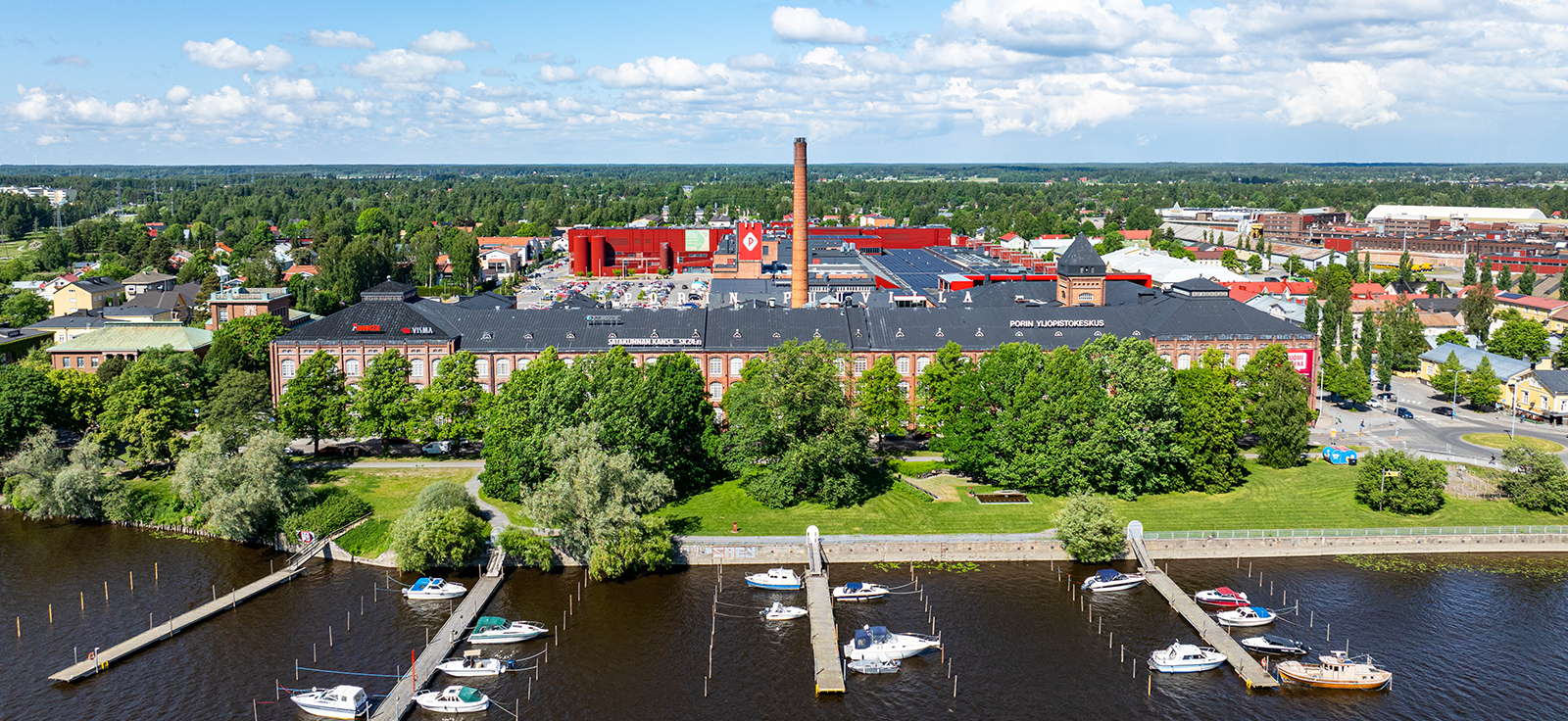 Maailman paras kesätyö puutarhassa, jossa kukkii satavuotiaat kukat 4 Puuvilla 2024 m